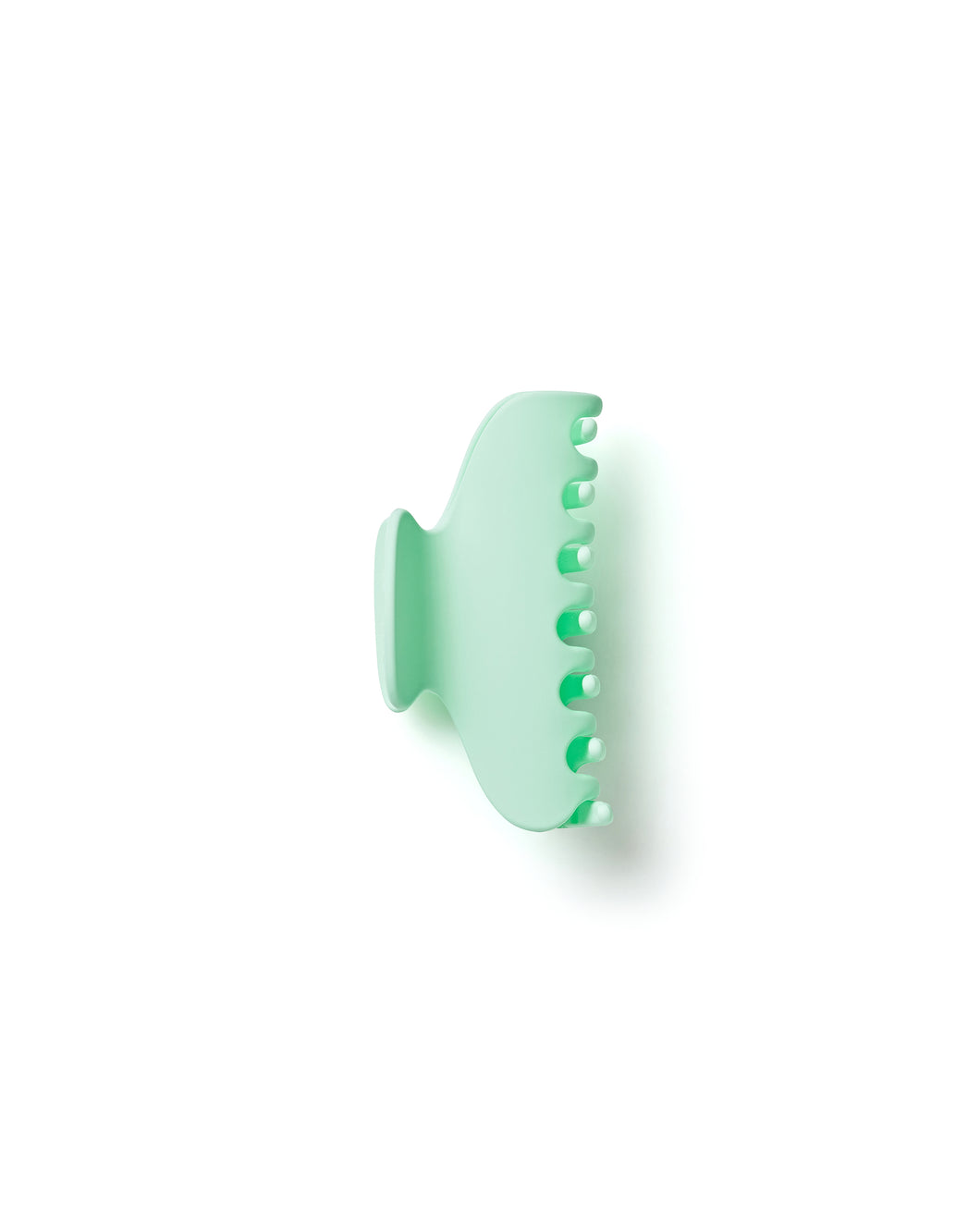 Coloured Matte Claw Clips
